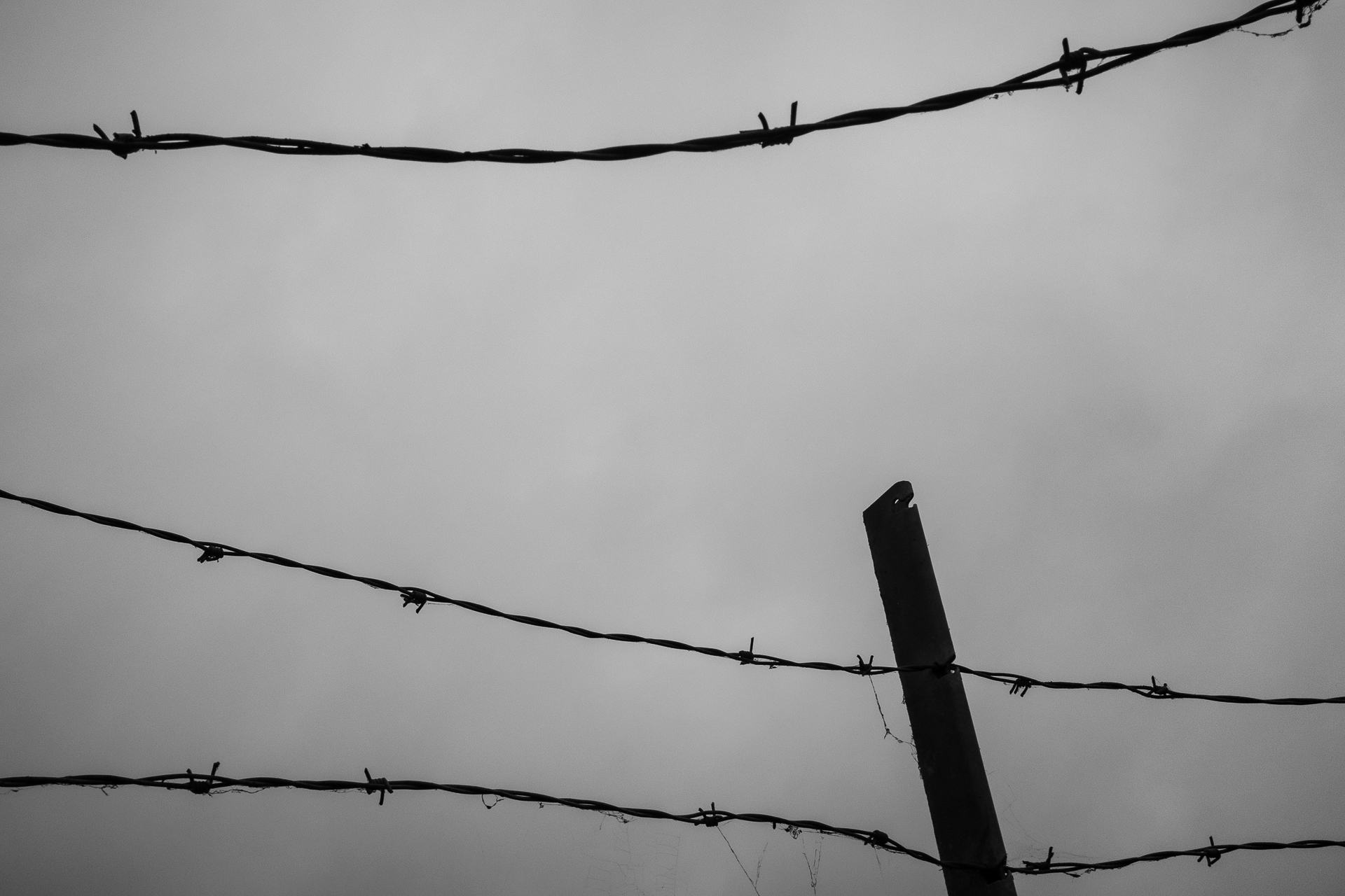 Barbed wire against cloudy sky