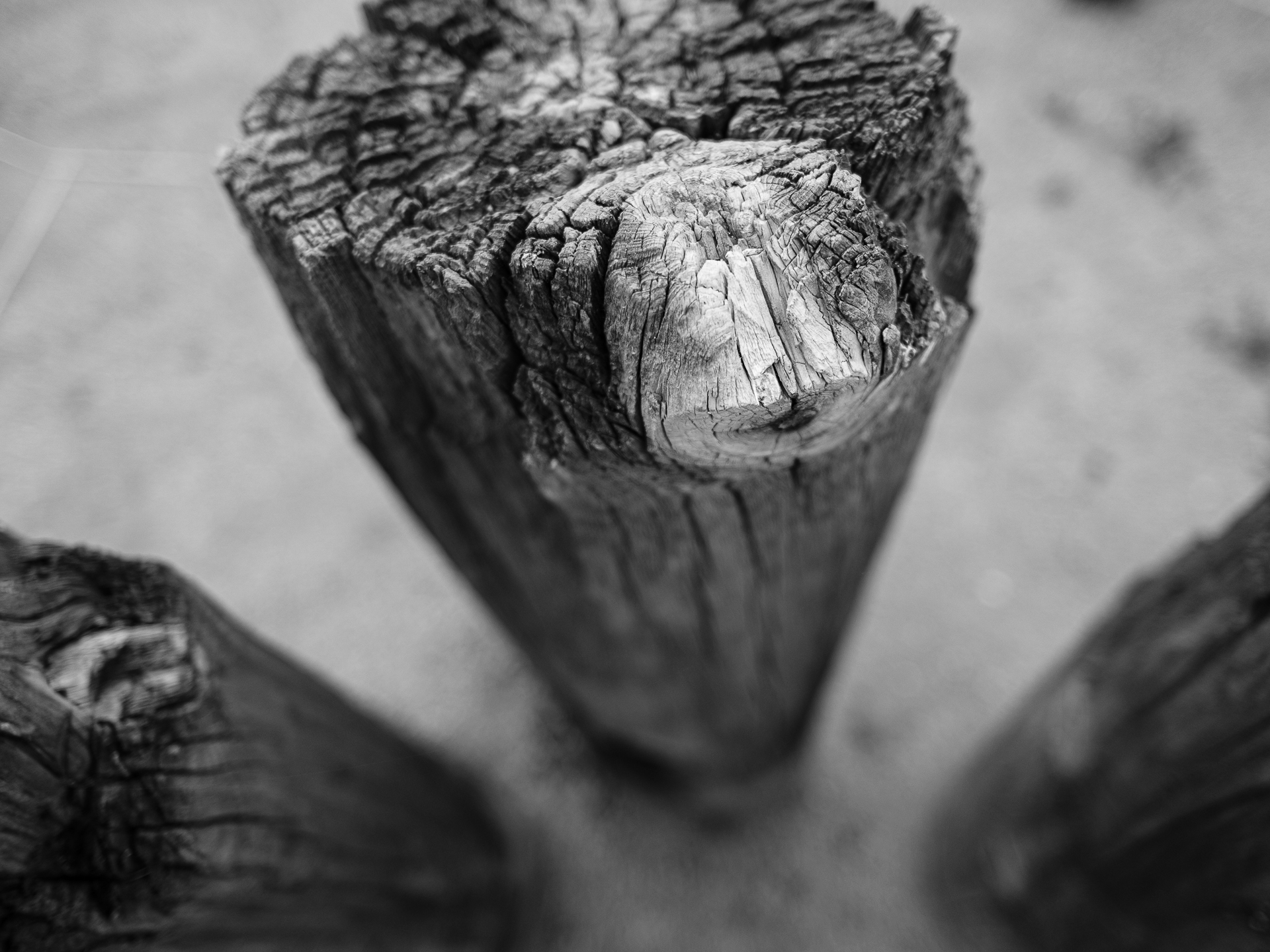 Photo: mlk-regional-shoreline-park-1.jpg
