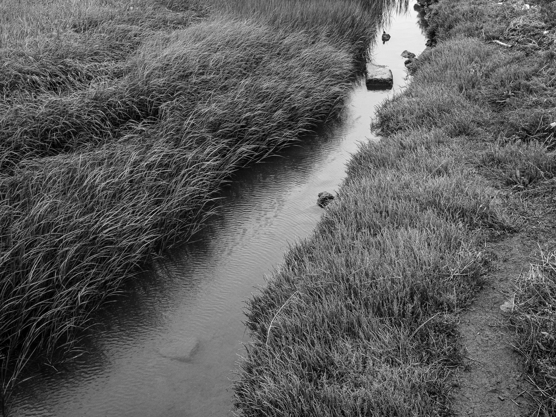 Photo: mlk-regional-shoreline-park-4.jpg