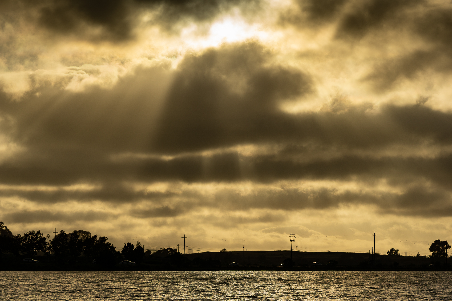 Photo: mlk-regional-shoreline-park-5.jpg