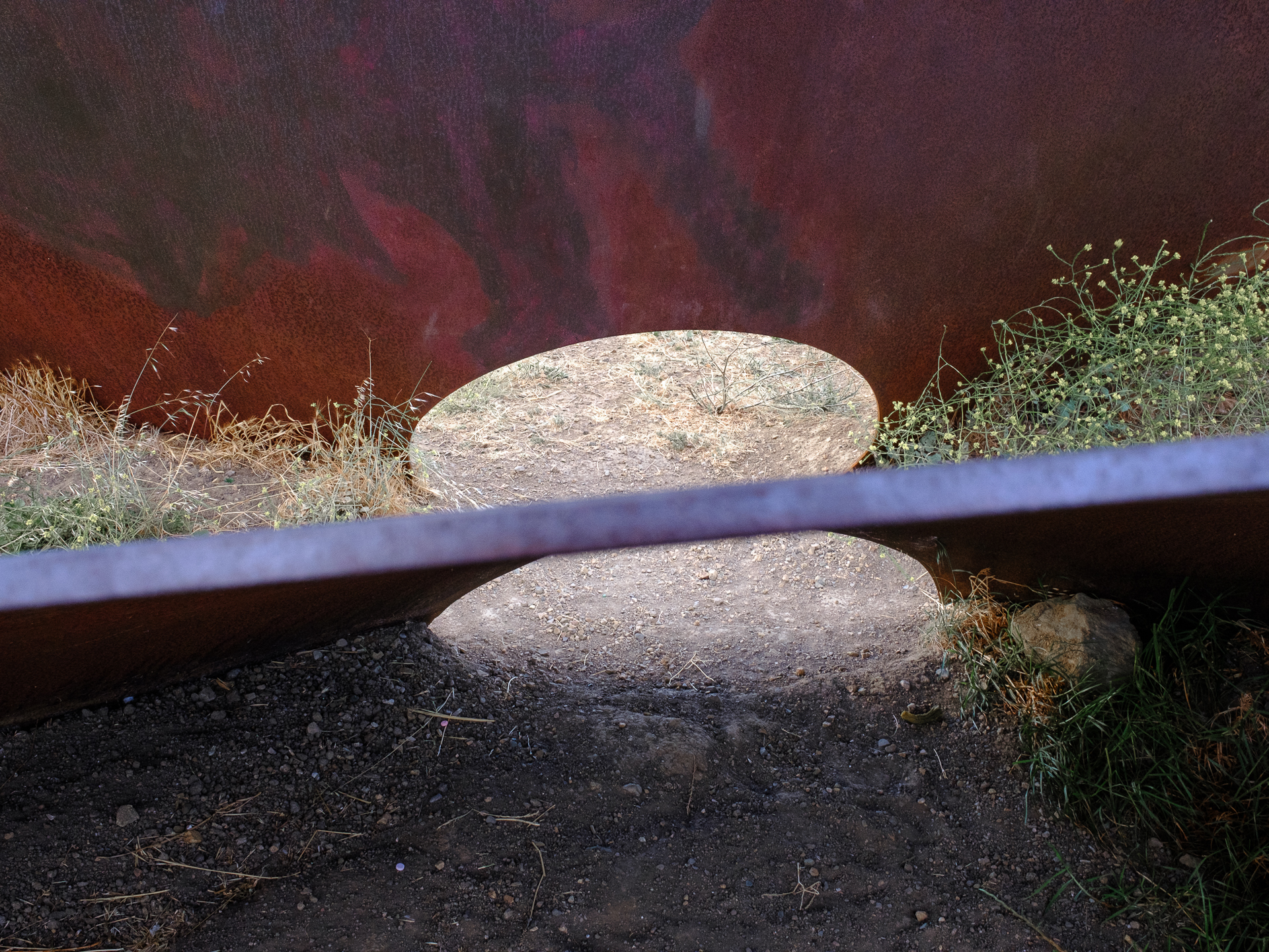 Photo: mlk-regional-shoreline-park-7.jpg