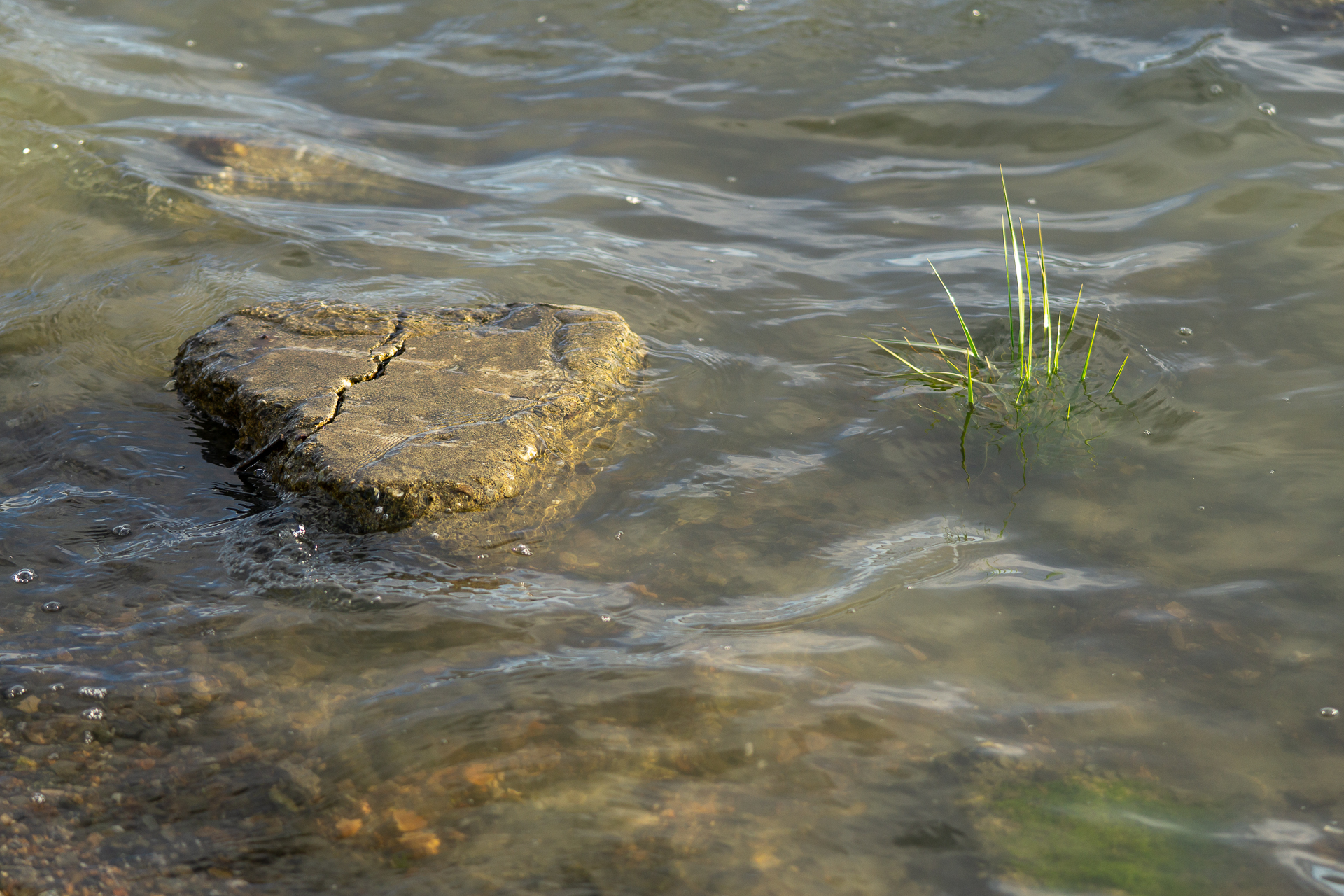 Photo: mlk-regional-shoreline-park-8.jpg