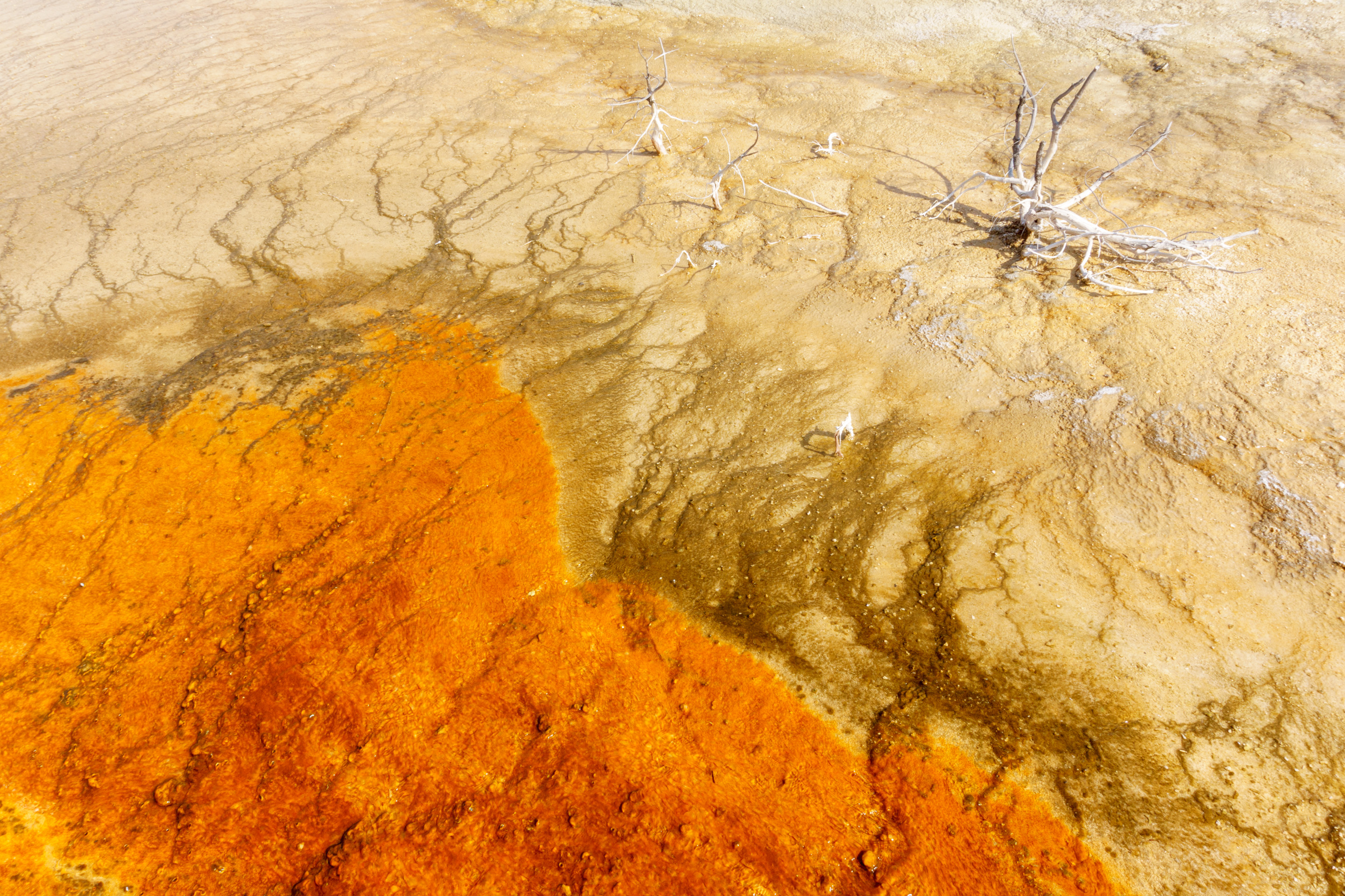 Photo: yellowstone-grand-teton-1.jpg