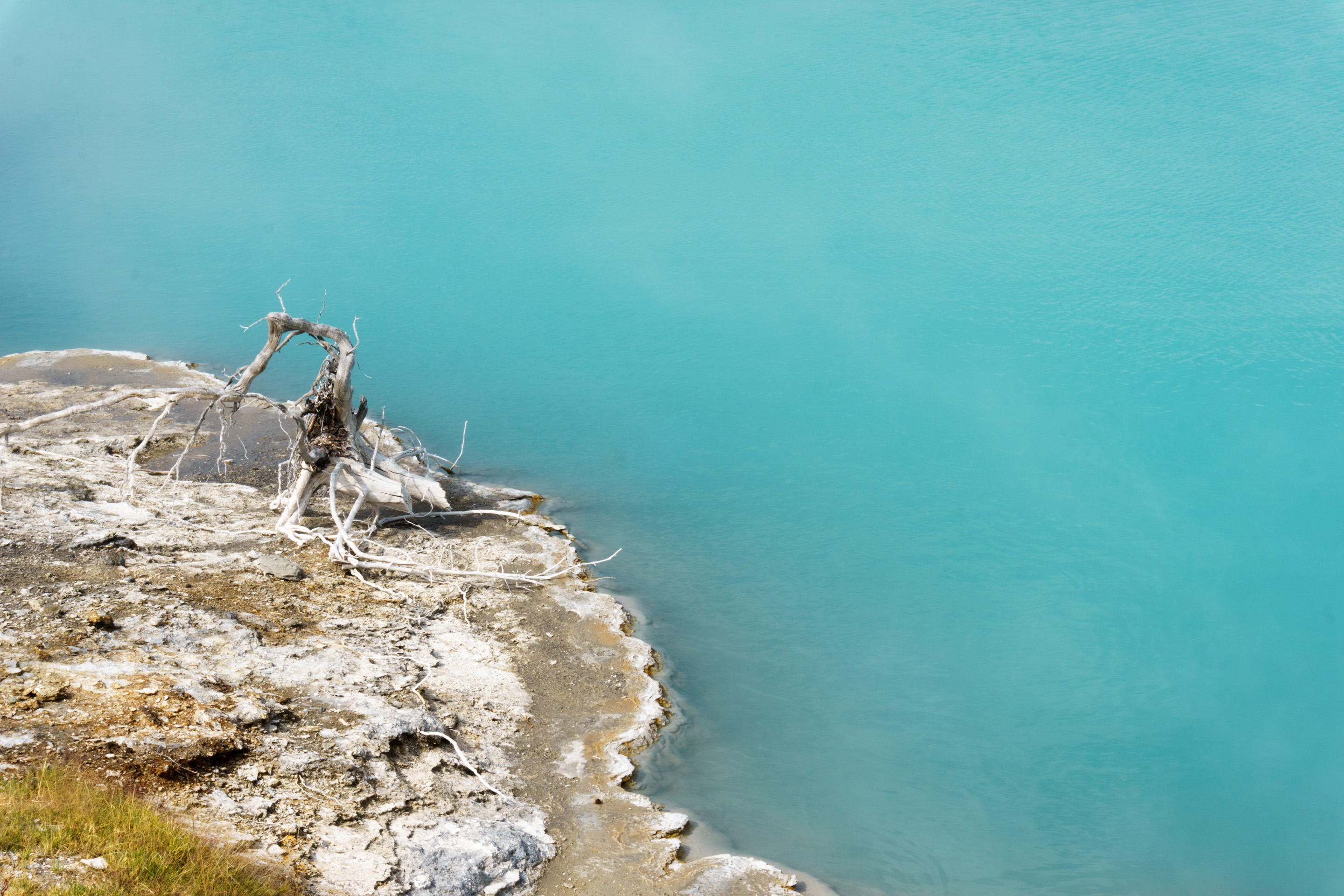 Photo: yellowstone-grand-teton-3.jpg