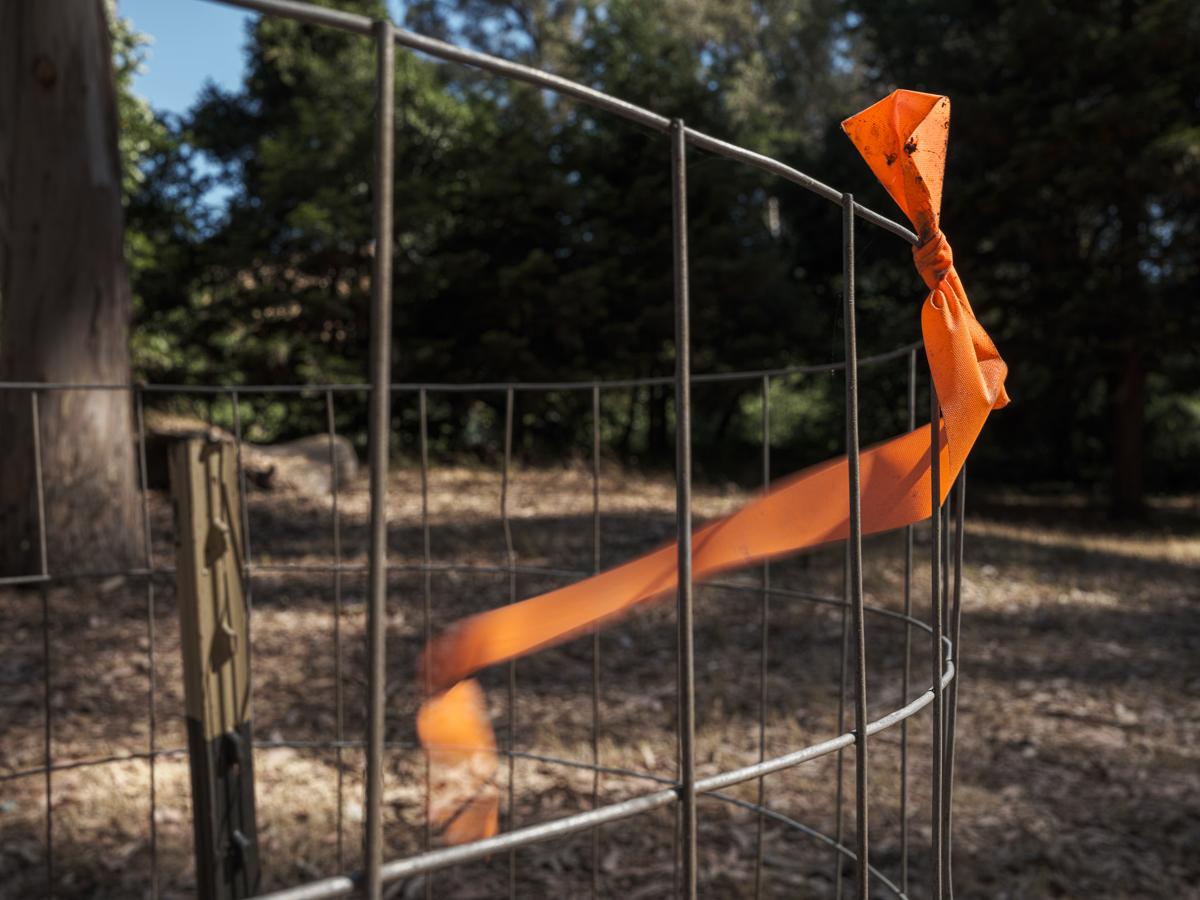 Orange plastic ribbon attached to fence, blowing in the breeze.