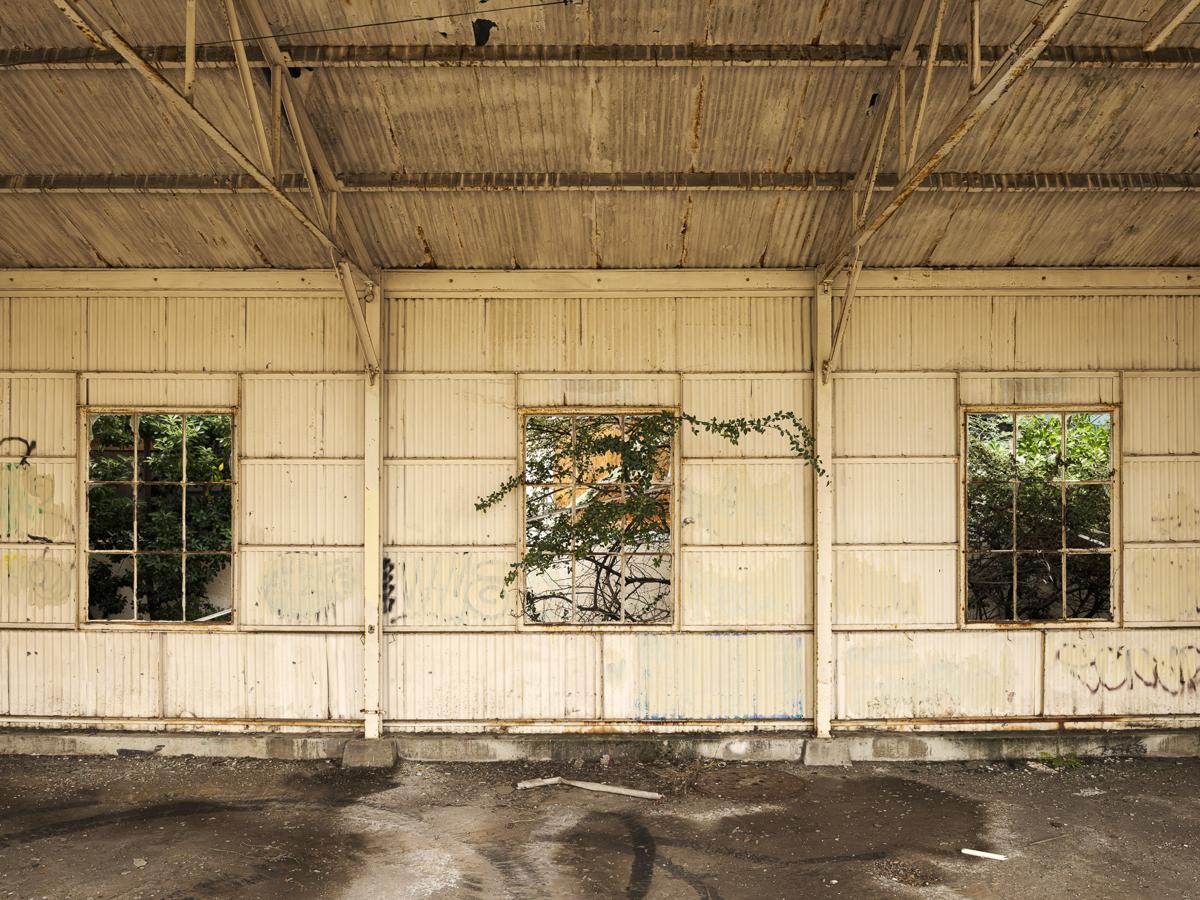 Dilapidated arcade made of corrugated metal with bushes growing through its windows and stained concrete in foreground.
