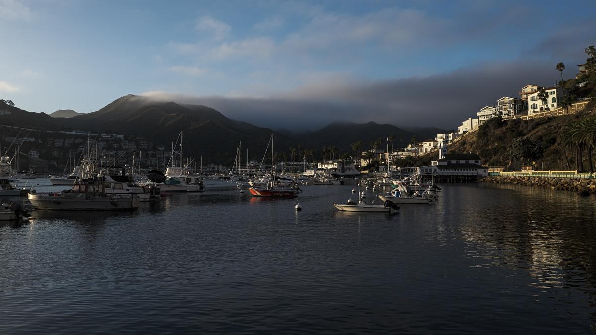 Harbor filled with boats at sunrise, with houses rising on a hill at the right and a mist-topped mountain in the background.