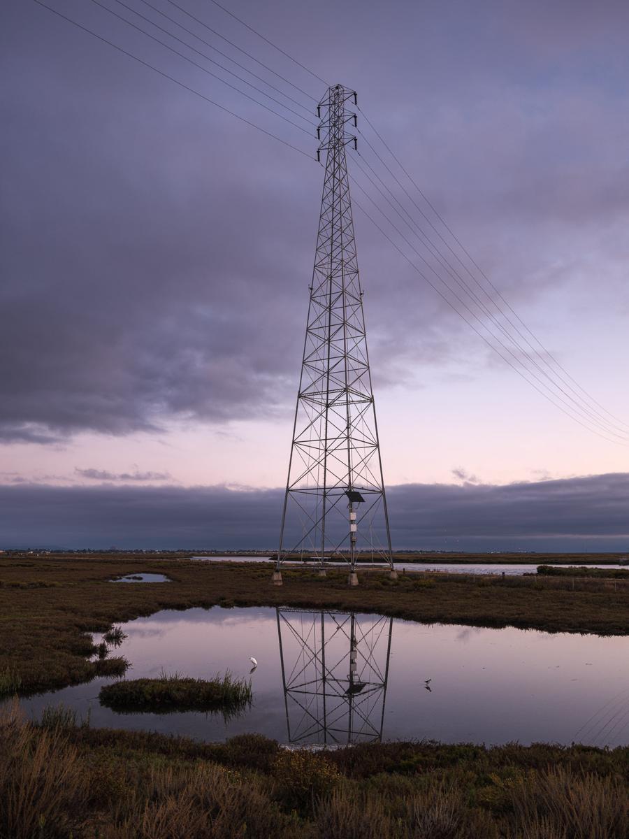 Egret and stilt flanking reflection of power pylon in pre-sunrise light.