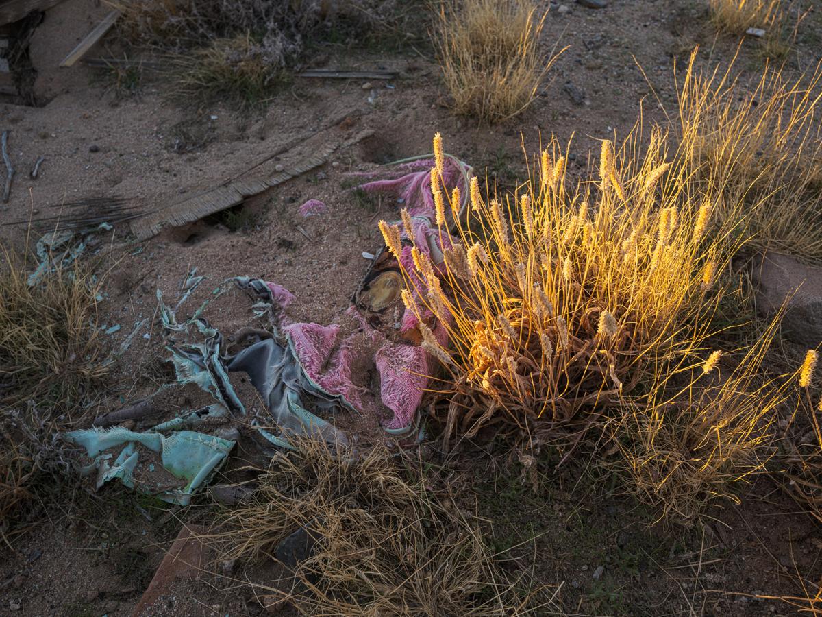 Dry plant lit by sunrise next to pink and blue cloth in shadow and half-buried in sand.