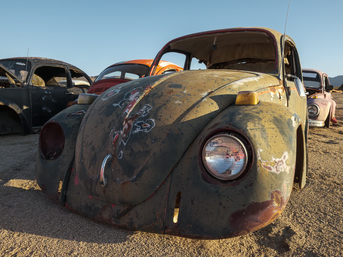 Rusty, stripped Volkswagen Beetles in desert landscape.