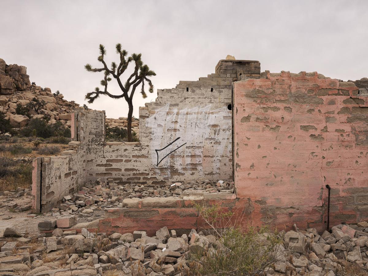 A Joshua tree is silhouetted against a cloudy sky behind the ruins of a brick house with pink paint on the front.