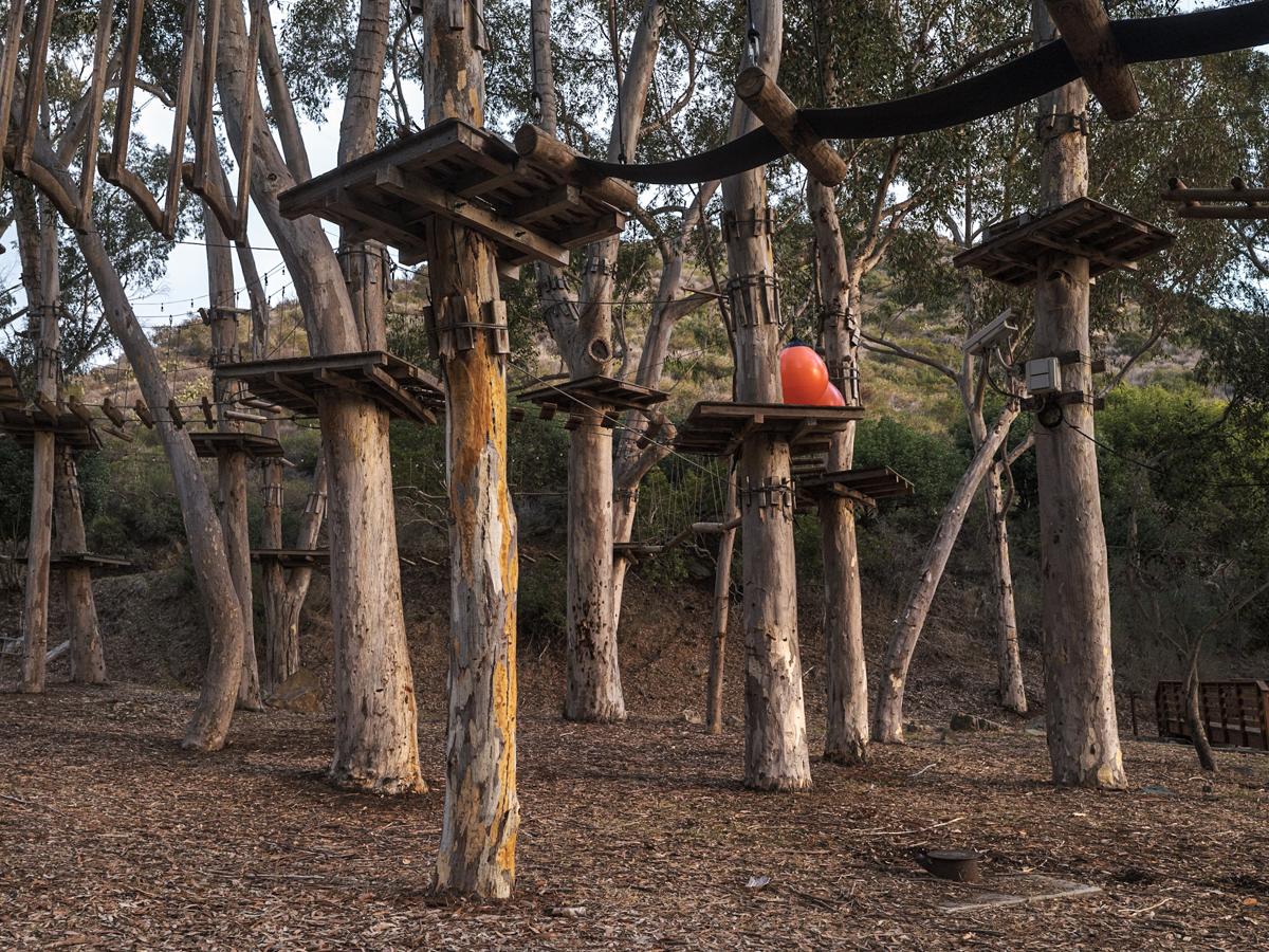 A stand of trees with platforms attached about ten feet above ground level, connected by a network of rope bridges. Two large red exercise balls rest on one of the platforms. One tree has a surveillance camera attached.