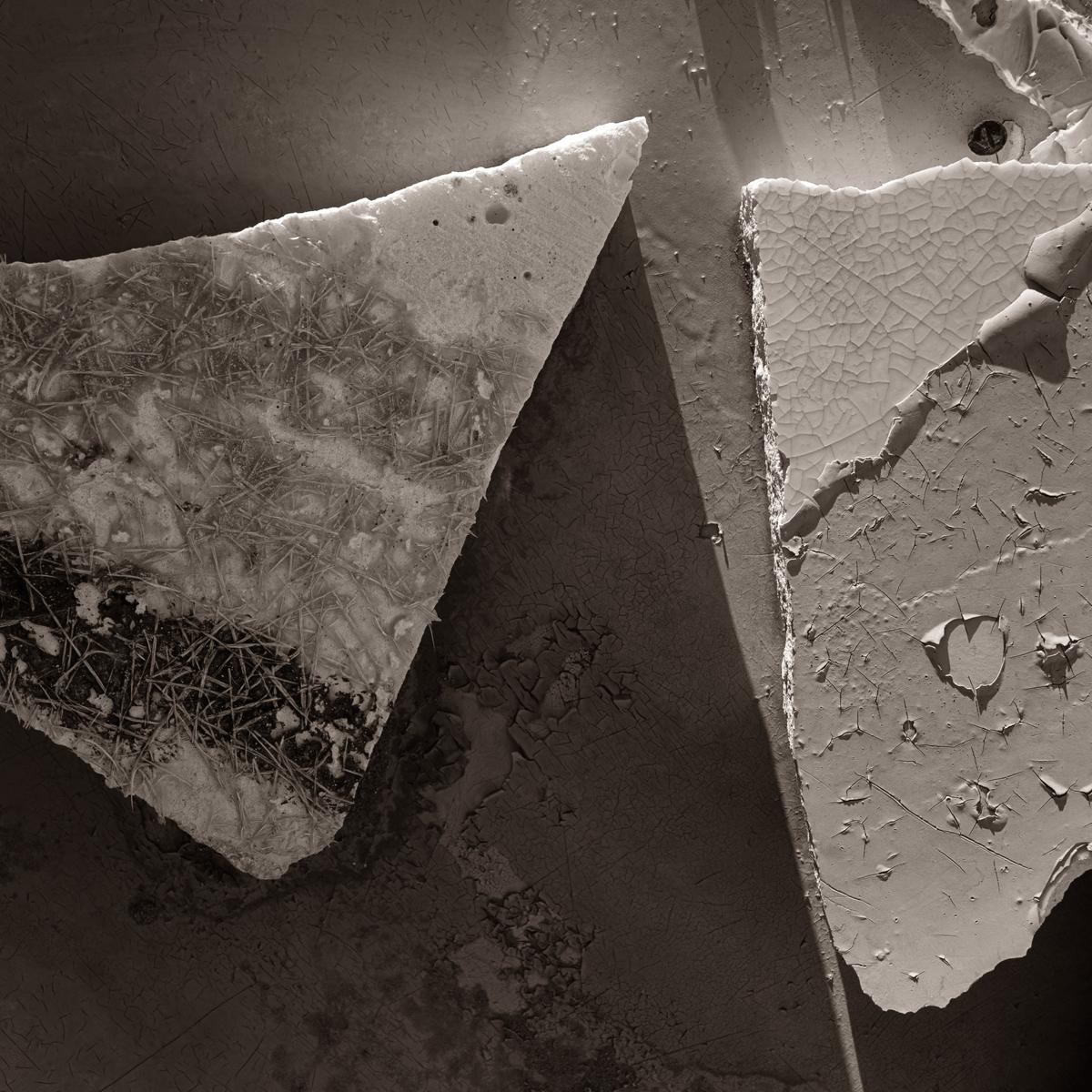 Shards of peeling material lit by rising sun.
