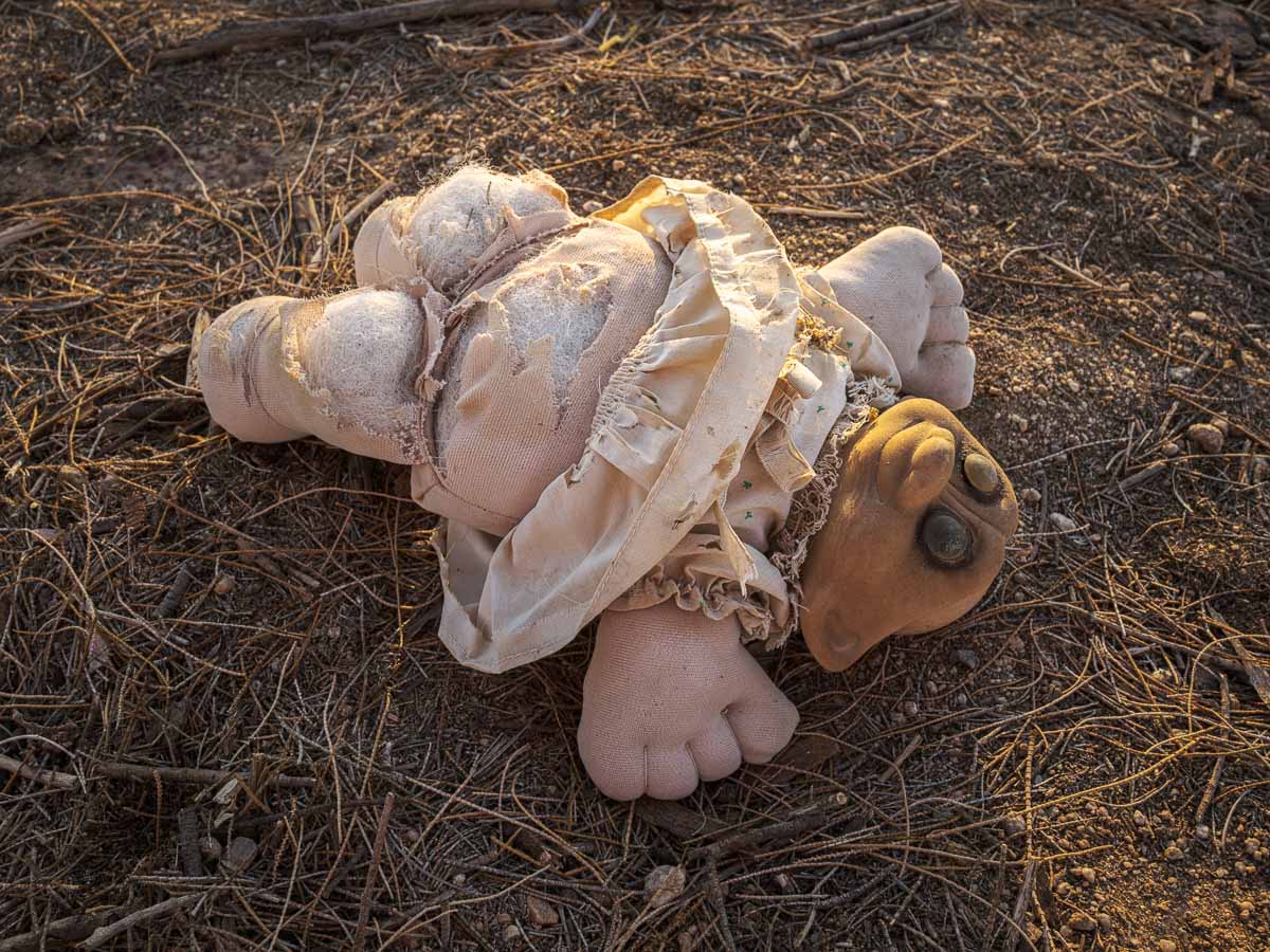 A decrepit troll doll lying in desert sand.
